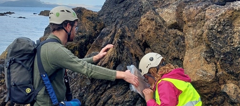 Studying Earth Sciences Will Rock Your World!